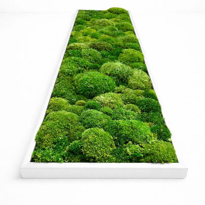 tableau végétal naturel stabilisé 