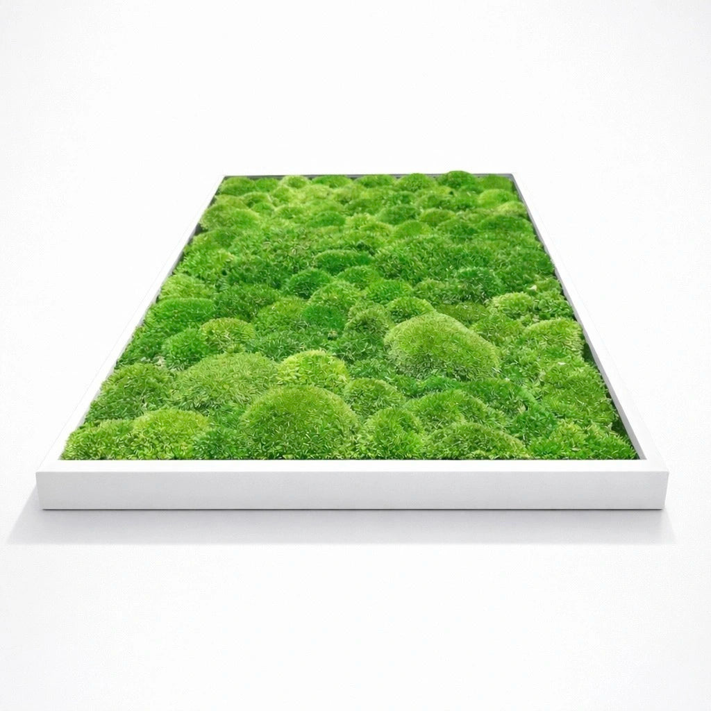 tableau blanc végétal naturel stabilisé 