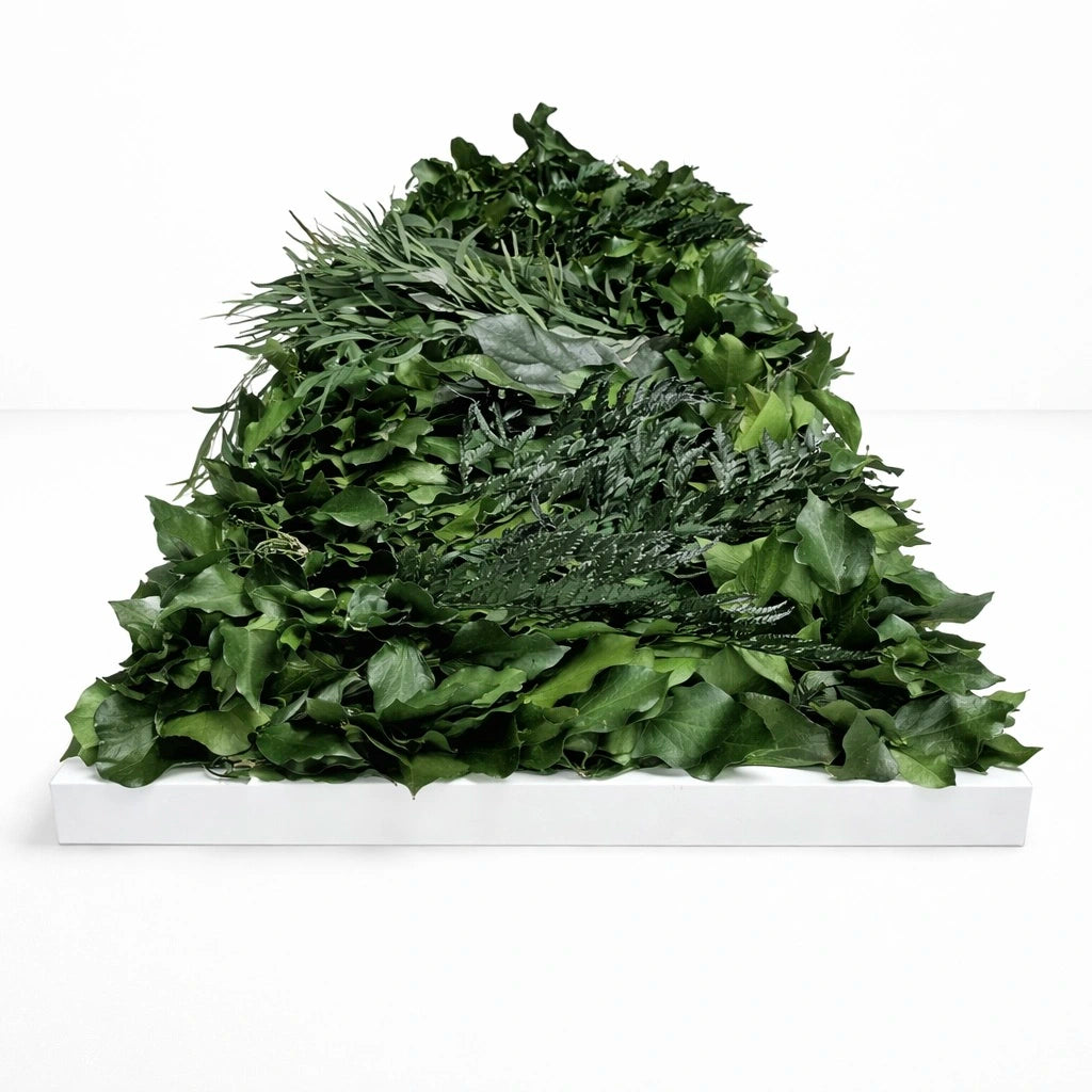 tableau végétal naturel stabilisé 