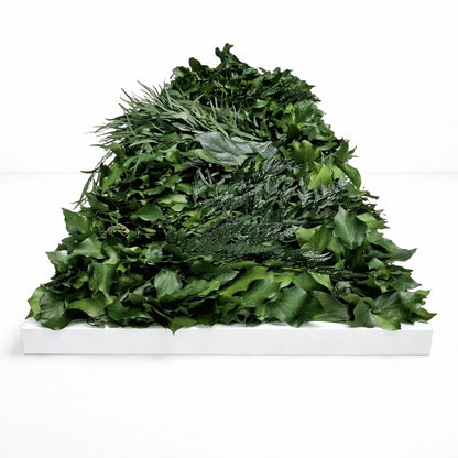 tableau végétal naturel stabilisé 