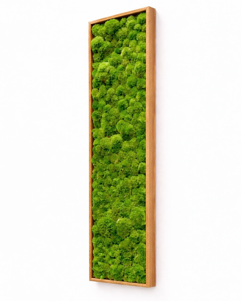 Tableau végétal naturel stabilisé 