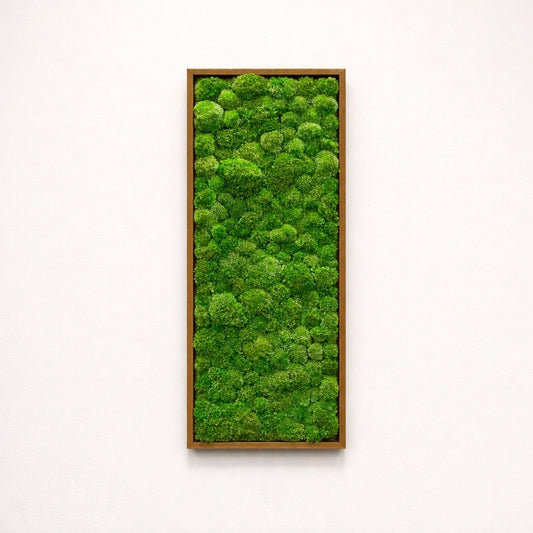 Tableau végétal naturel stabilisé 