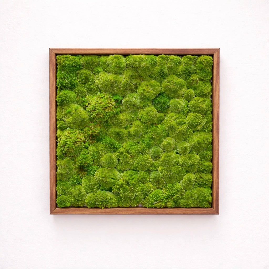 Tableau végétal naturel stabilisé 
