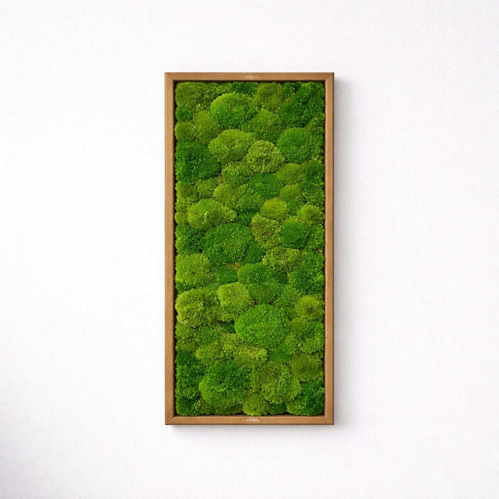 Tableau végétal naturel stabilisé