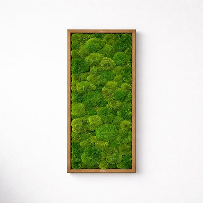 Tableau végétal naturel stabilisé