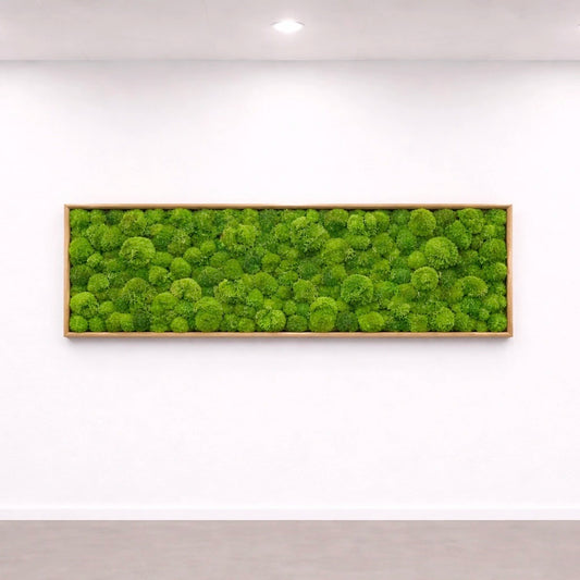 tableau végétal naturel stabilisé Bubble