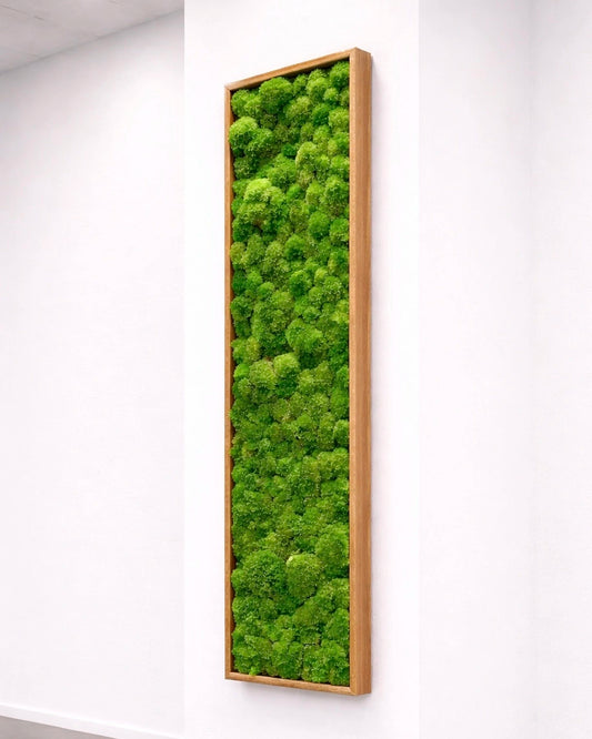 tableau végétal naturel stabilisé Bubble