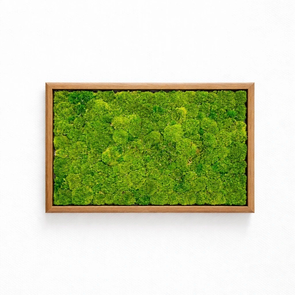 Tableau végétal naturel stabilisé 