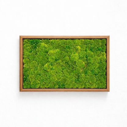 Tableau végétal naturel stabilisé 