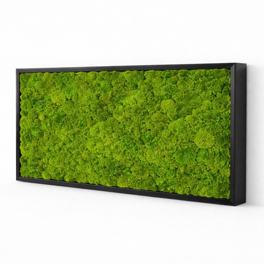 Tableau végétal naturel stabilisé 