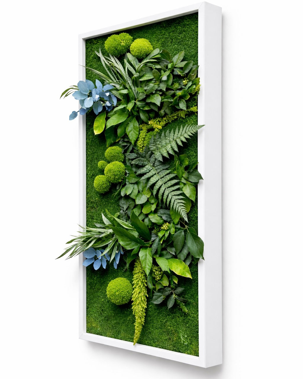 tableau végétal naturel stabilisé 
