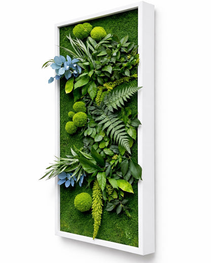 tableau végétal naturel stabilisé 