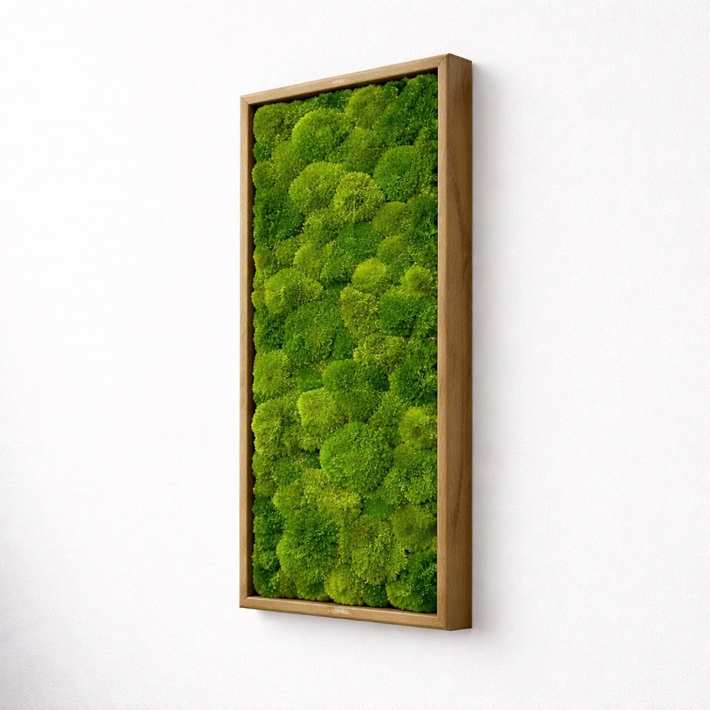 Tableau végétal naturel stabilisé 