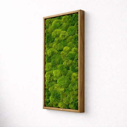 Tableau végétal naturel stabilisé 
