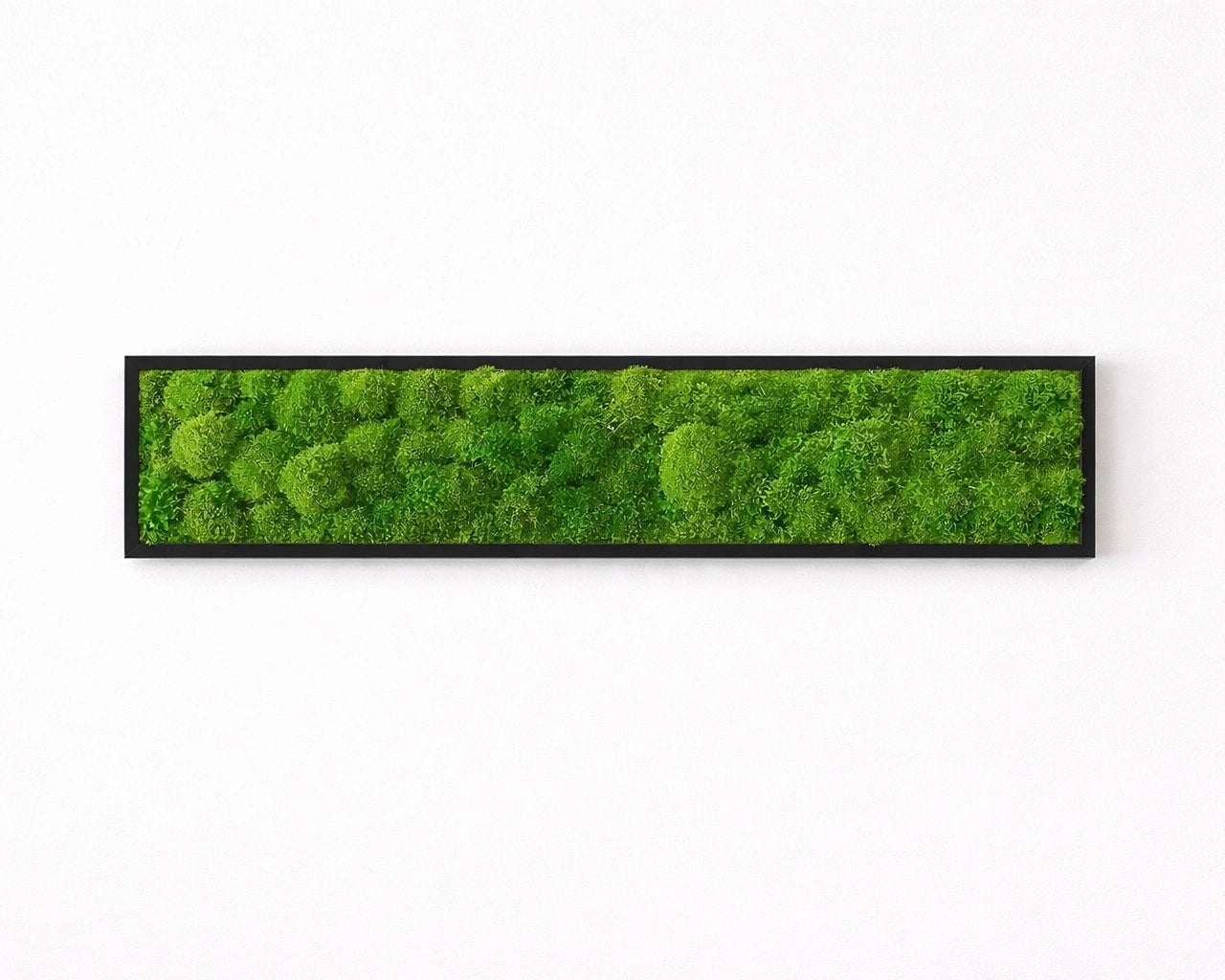 Tableau végétal naturel stabilisé 