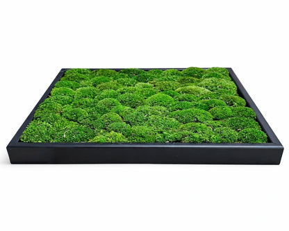 tableau végétal naturel stabilisé 