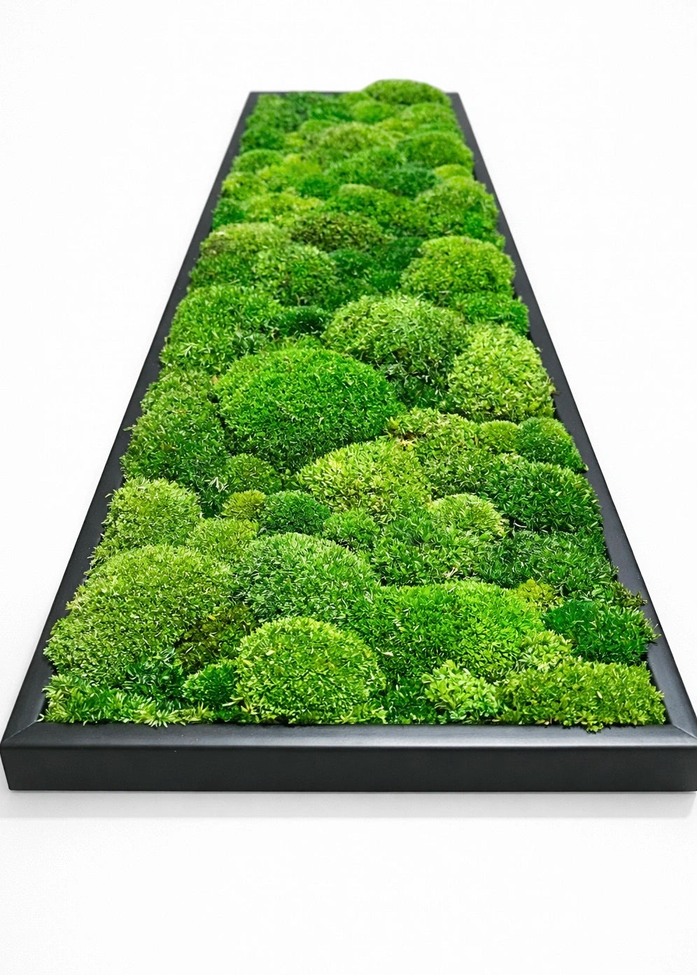 tableau végétal naturel stabilisé 