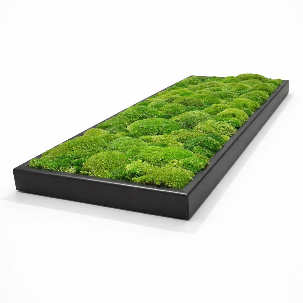 tableau végétal naturel stabilisé 