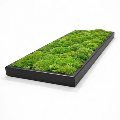 tableau végétal naturel stabilisé 