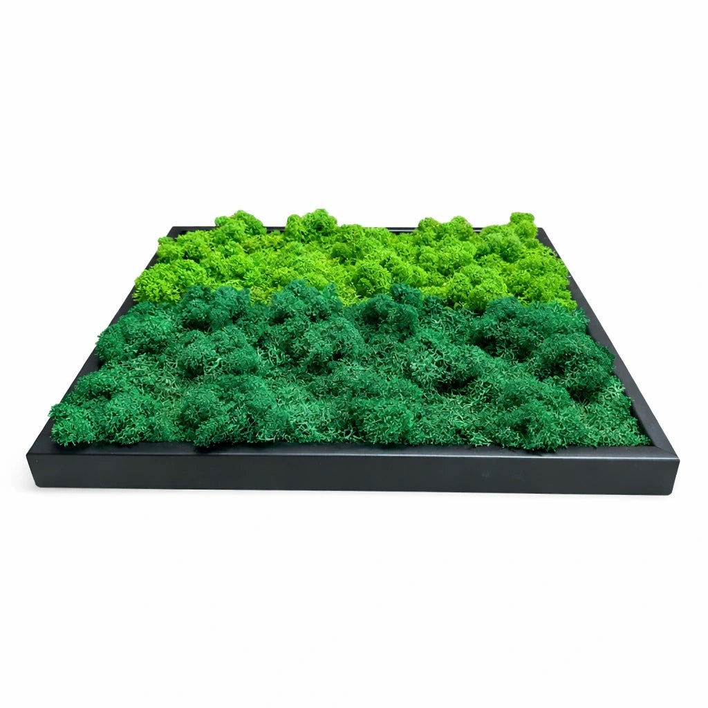 Tableau végétal naturel stabilisé 