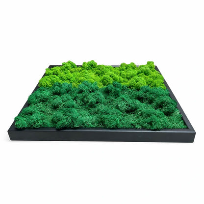 Tableau végétal naturel stabilisé 