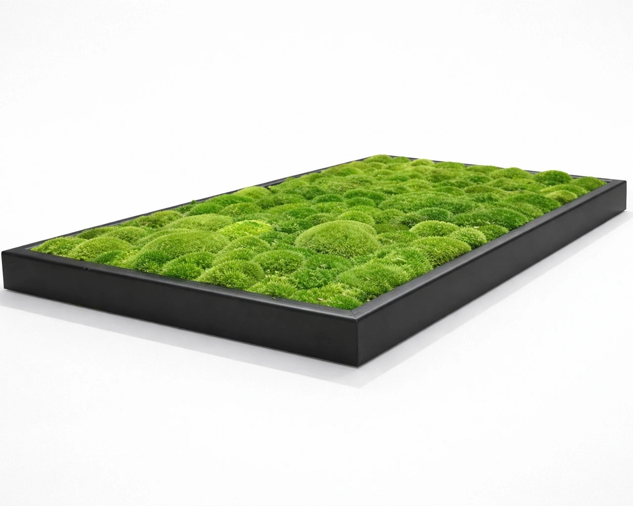 tableau végétal naturel stabilisé 