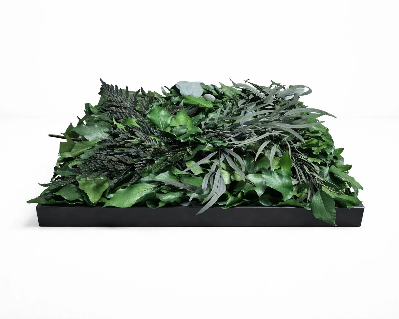 Tableau végétal naturel stabilisé  