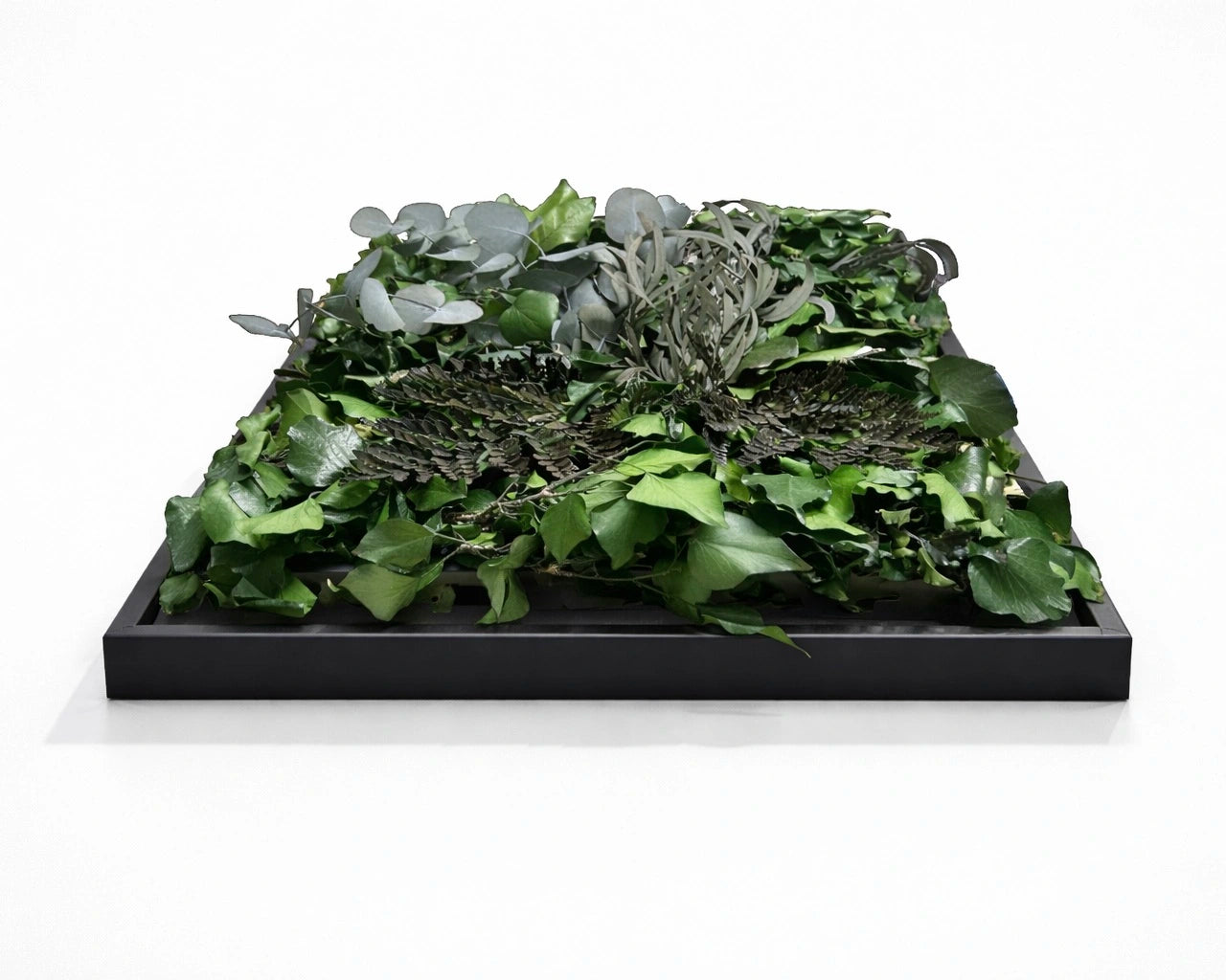 tableau végétal naturel stabilisé 