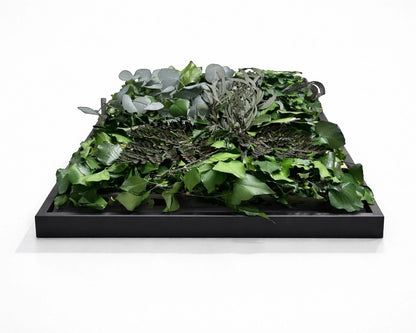 tableau végétal naturel stabilisé 