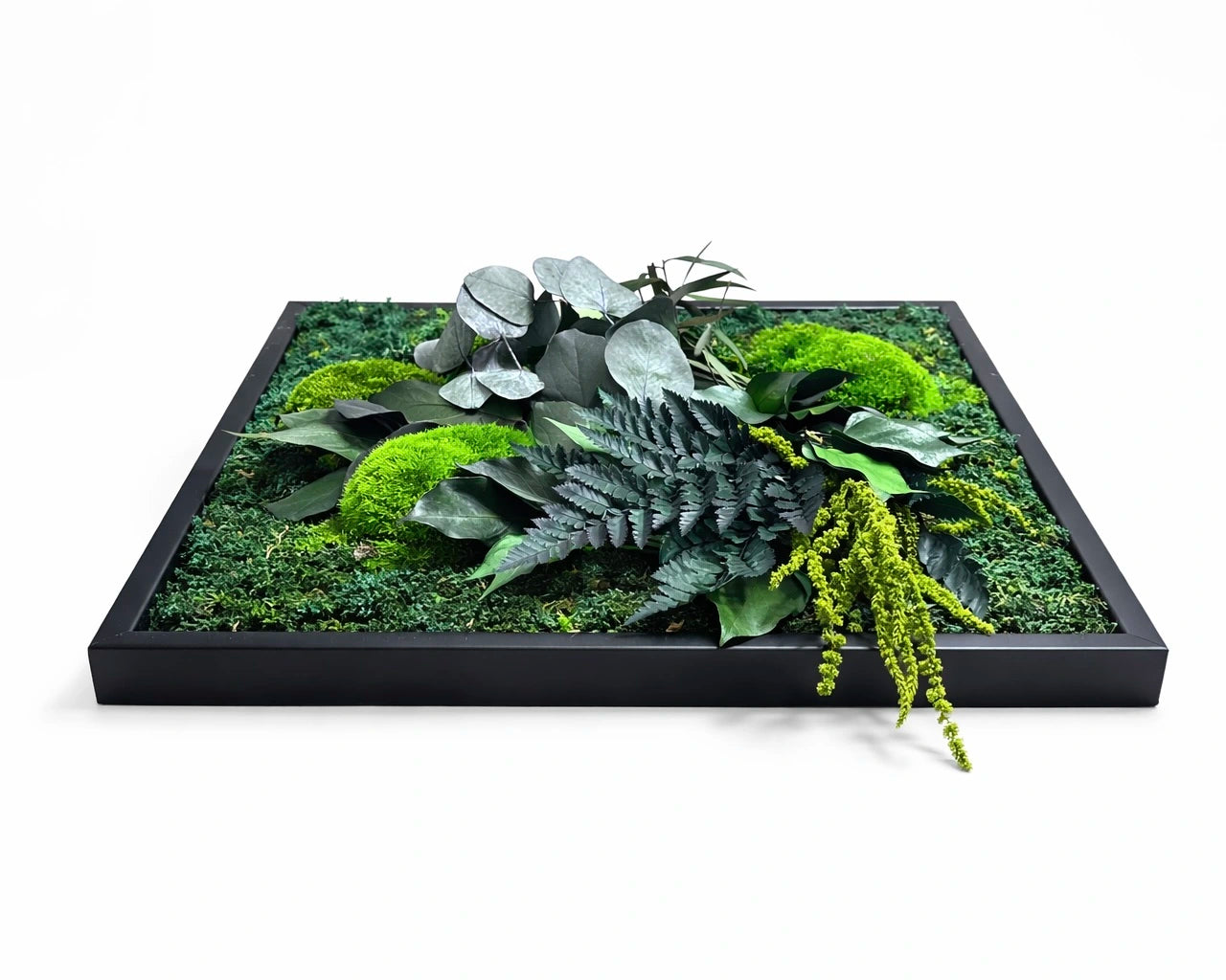 tableau végétal naturel stabilisé 