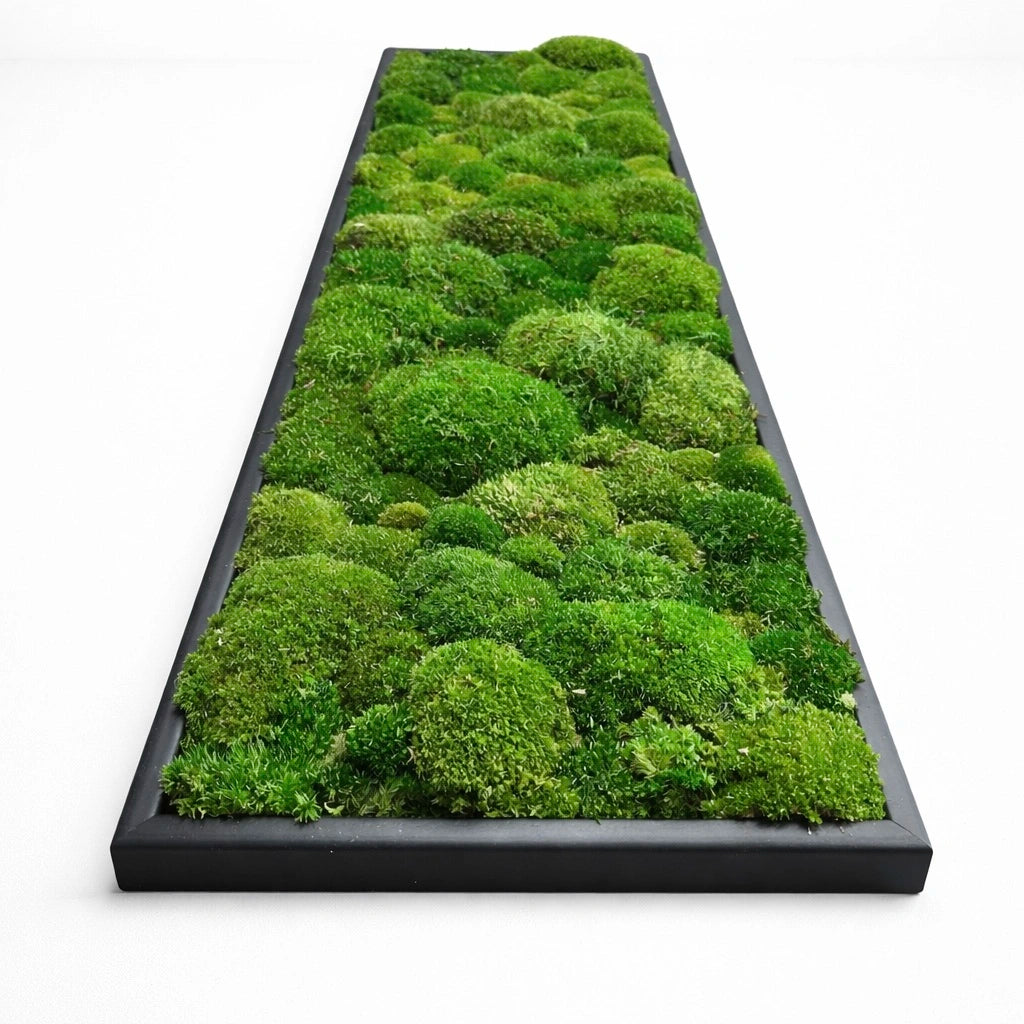 tableau végétal naturel stabilisé 
