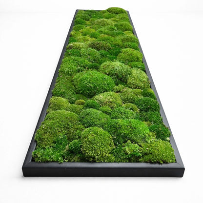 tableau végétal naturel stabilisé 