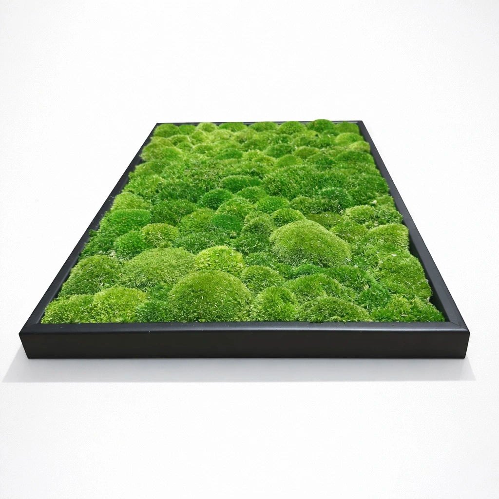 tableau végétal naturel stabilisé 