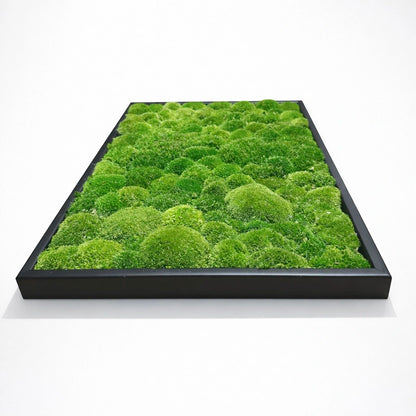 tableau végétal naturel stabilisé 