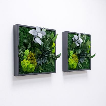 Jungle tableaux stabilisés végétaux 
