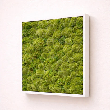 Tableau végétal naturel stabilisé 