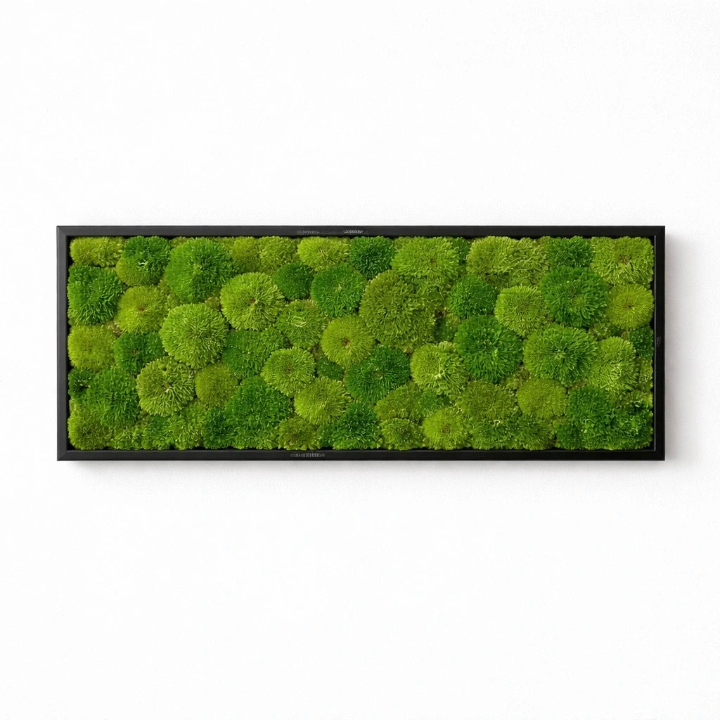 Tableau végétal naturel stabilisé 