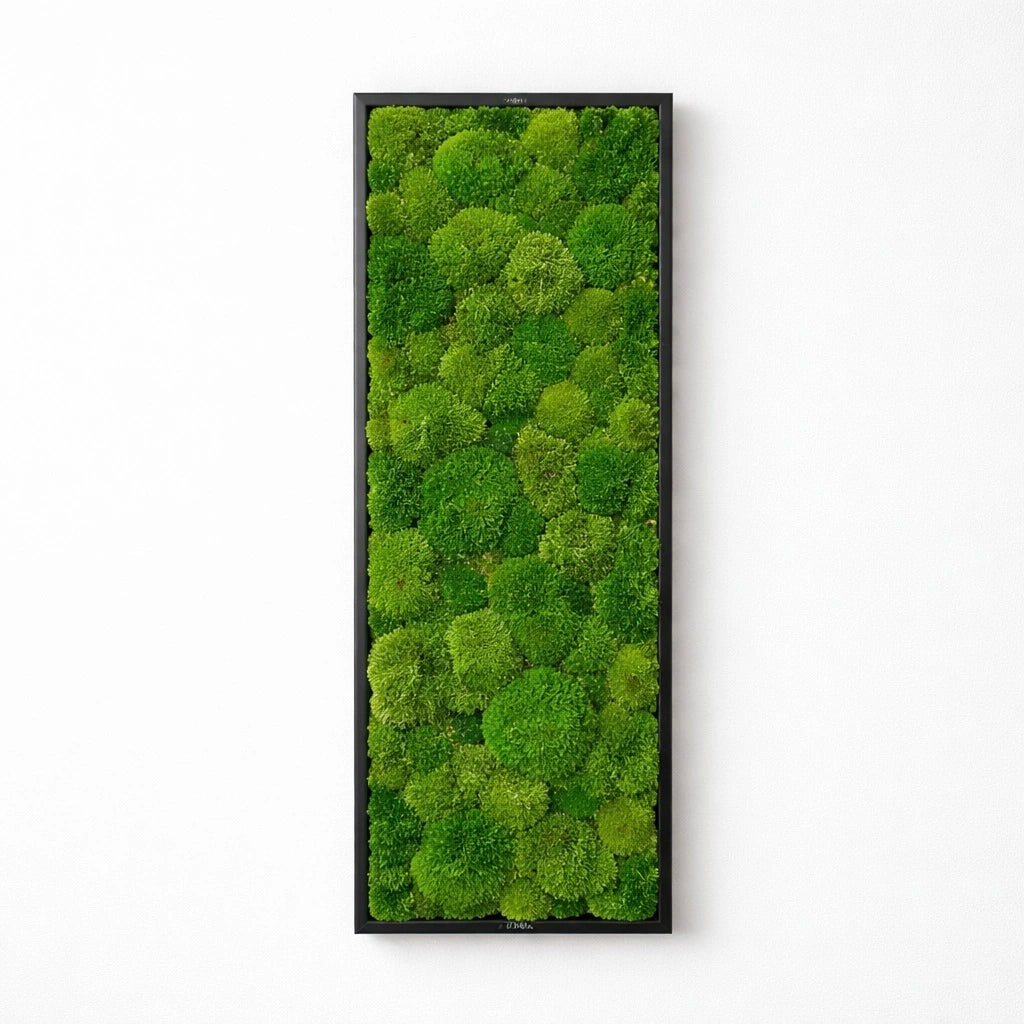 Tableau végétal naturel stabilisé 