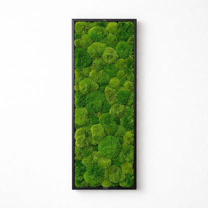 Tableau végétal naturel stabilisé 