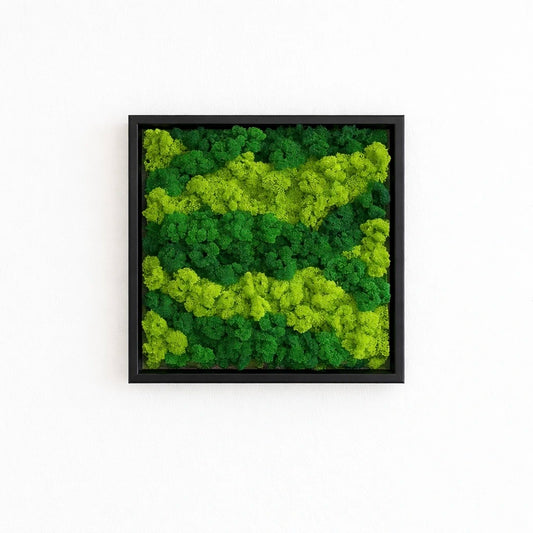 Tableau végétal naturel stabilisé 