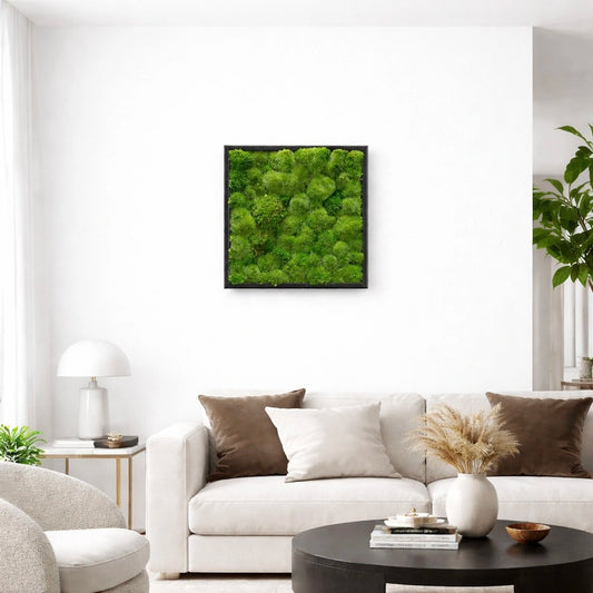 Tableau végétal naturel stabilisé 