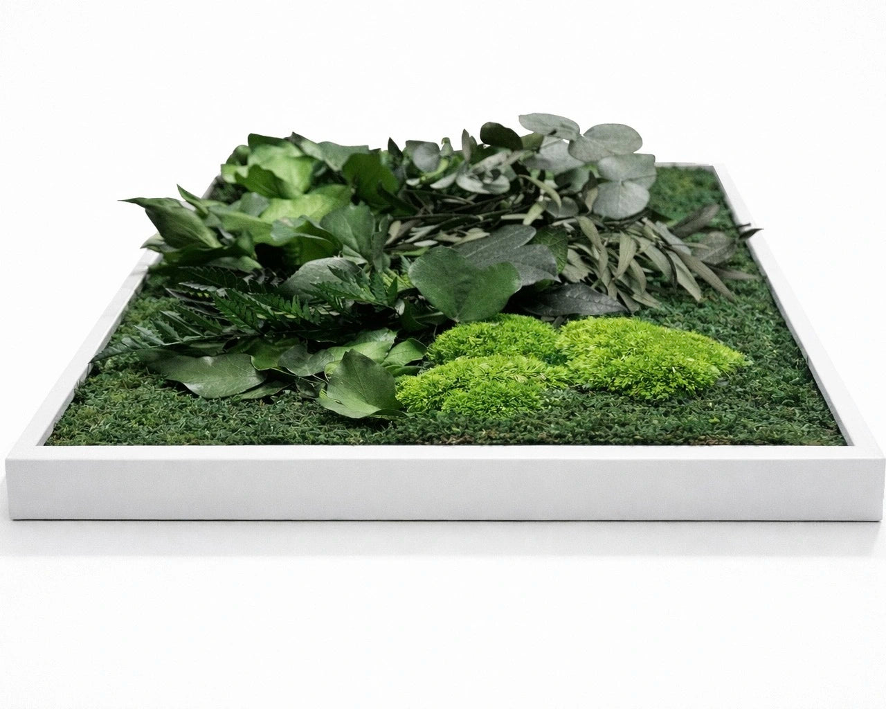tableau végétal naturel stabilisé 