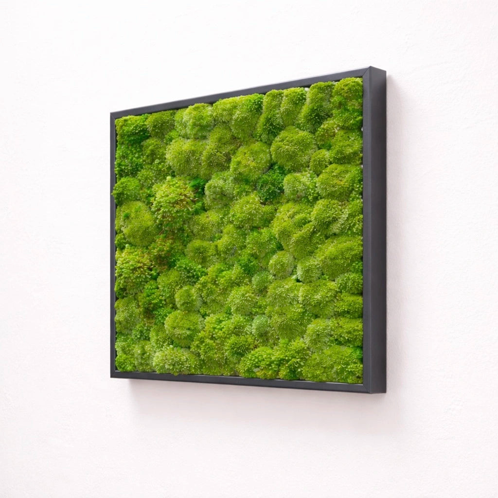 Tableau végétal nattiez stabilisé 