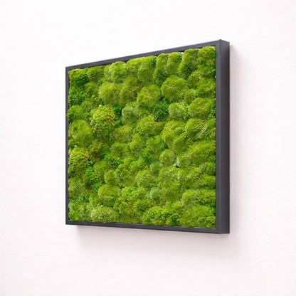 Tableau végétal nattiez stabilisé 