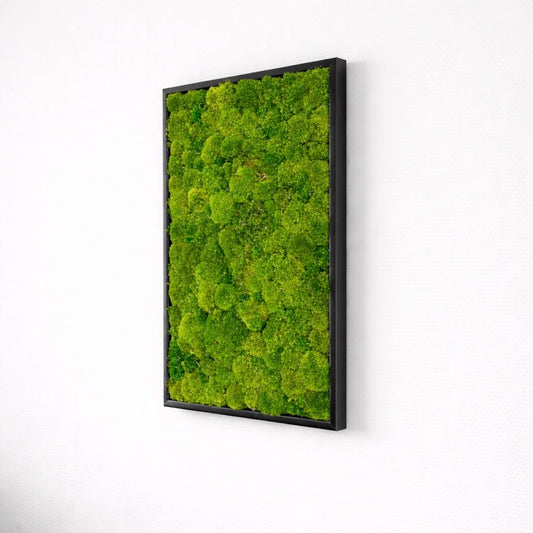 Tableau végétal naturel stabilisé 