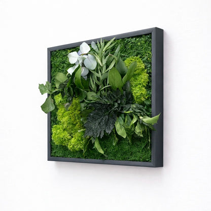 Tableau végétal naturel stabilisé 