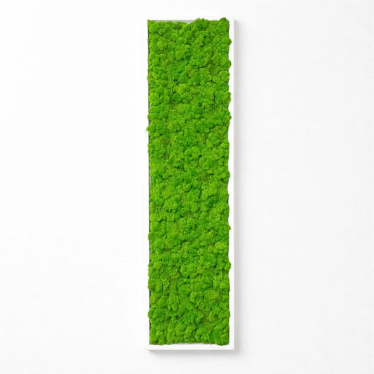 Tableau végétal naturel stabilisé 