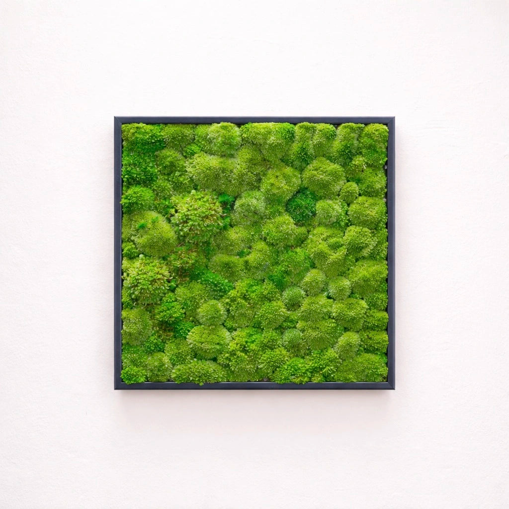 Tableau végétal naturel stabilisé 