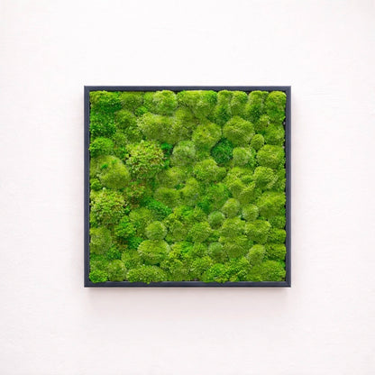 Tableau végétal naturel stabilisé 