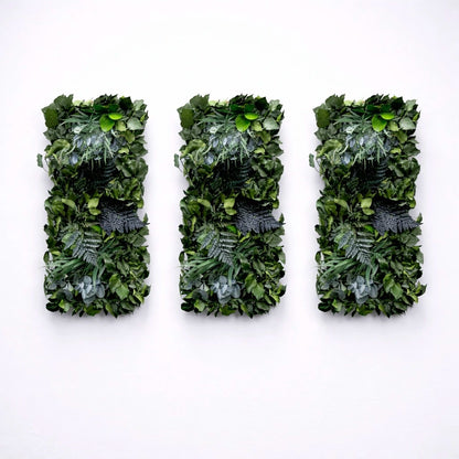 Tableaux végétaux naturels stabilisés 